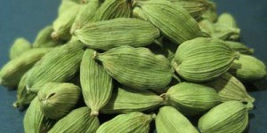 Cardamom