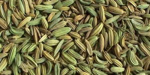 Fennel Seed